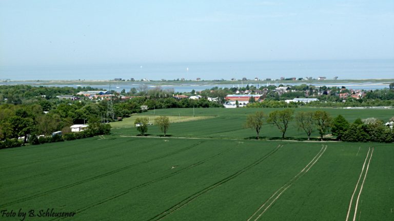 Blick zum Graswader
